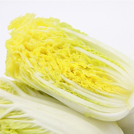 【城食配】大娃娃菜 约1.5斤 商品图2