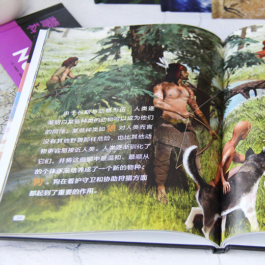 《蒙台梭利科学启蒙书》全5册精装 3-12岁孩子科学启蒙 商品图4