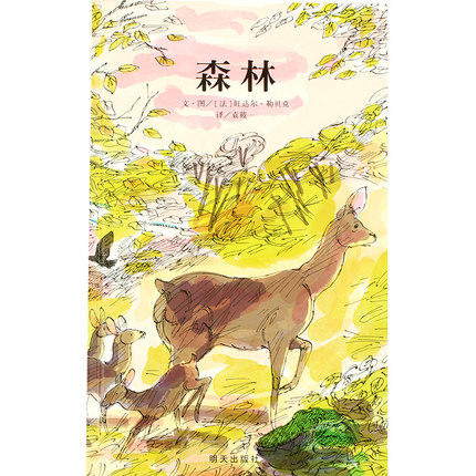 信谊   森林  2-3-4-5-6岁儿童绘本  正版 商品图0