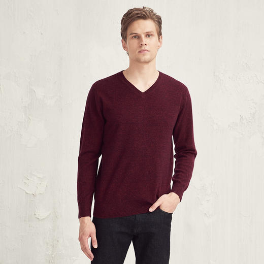 羊绒世家2020秋冬男士V领100%山羊绒衫时尚花纱内搭保暖针织毛衣 商品图2