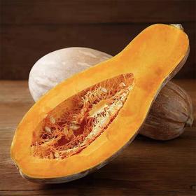 【城食配】长南瓜 约1.5斤