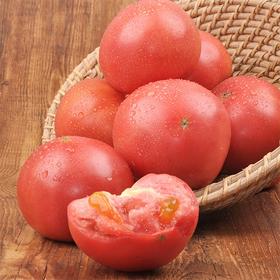 【城·食配】基地西红柿 约2斤