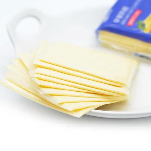 蒙牛芝士片200g早餐即食奶酪，保质期365天，需冷藏储存 商品图3