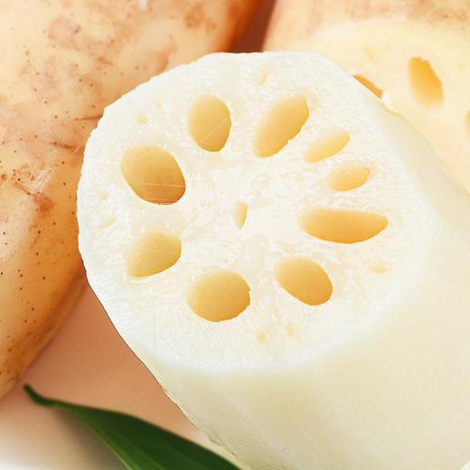 【城食配】莲藕 约1.25斤 商品图2