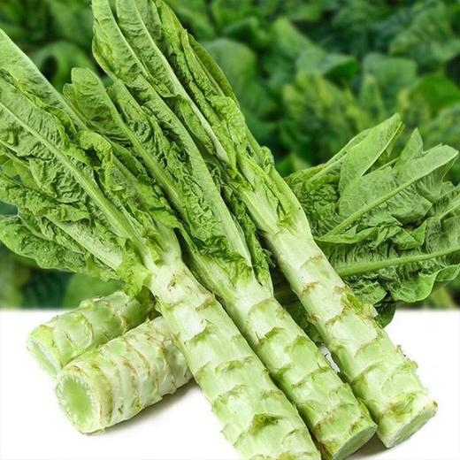 【城食配】青笋 约1.7斤 商品图2
