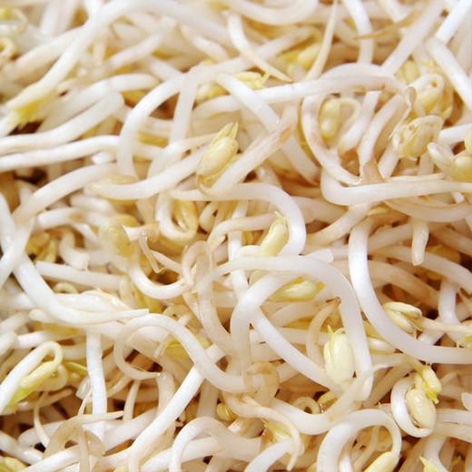 【城食配】绿豆芽 约1斤 商品图1