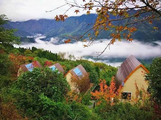 什邡红枫岭星空木屋图片