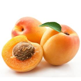 【整箱】凯特大杏 大黄杏1箱(净重约5斤—6斤)口感甜而不酸【5月31日当天提货】