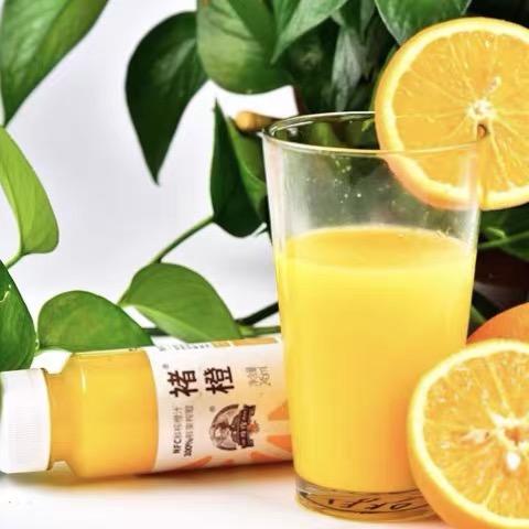 【 冷冻品发出不退改件】褚橙NFC鲜榨橙汁245ml*6瓶纯鲜果汁非浓缩还原夏日饮料无添加包邮 商品图6