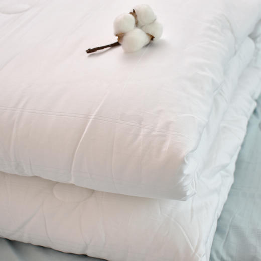 新疆60s长绒棉提花被芯柔软蓬松四季通用被子200*230被芯 商品图4