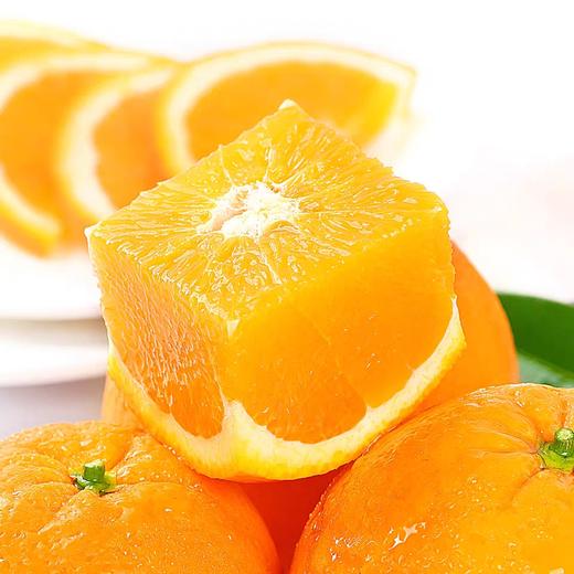 橙子 商品图1