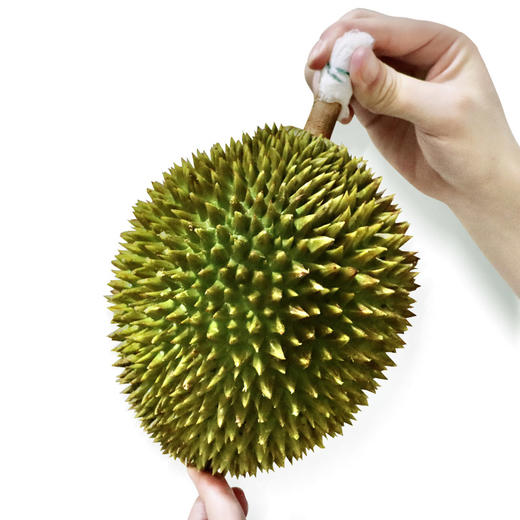 马来西亚甘榜榴莲整果1115kg