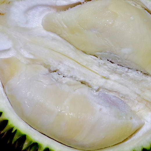 马来西亚甘榜榴莲整果1115kg