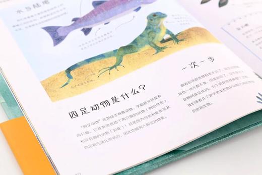 生命的旅程：从鱼到人 （7-10岁） 商品图3