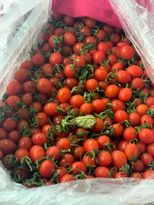 玲珑圣女果 1斤 （小果） 商品图3