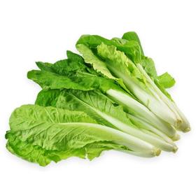 【城食配】快菜 约1斤