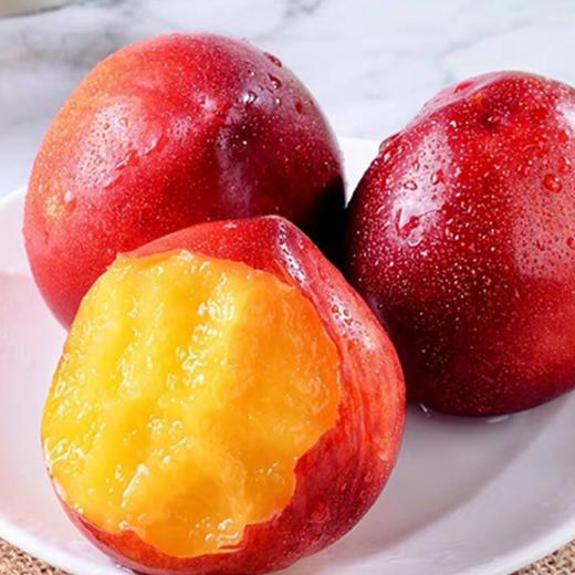 新鲜采摘特卖价249黄肉油桃5斤2030个ouldbbb