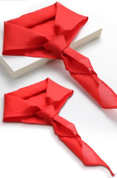 通版红领巾1m深圳市中小学专用统一纯棉加厚初中生大号现货现发51 商品图1