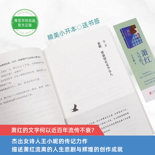 萧红：人鸟低飞   当代女诗人王小妮向“民国文学洛神”萧红致敬之作 商品图1