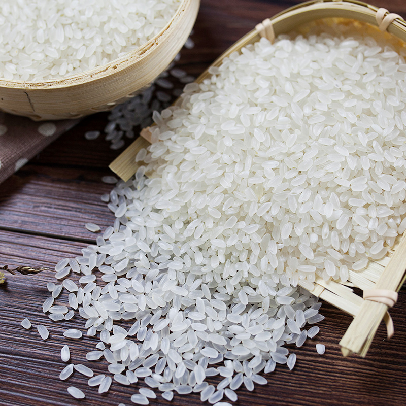 【蟹田大米​】绵软有韧性