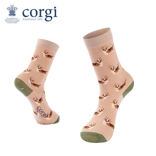 英国CORGI·儿童款轻棉萌宠系列春夏时尚长筒高筒袜子 商品图7