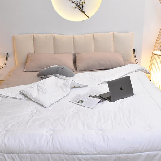 新疆60s长绒棉提花被芯柔软蓬松四季通用被子200*230被芯 商品图0