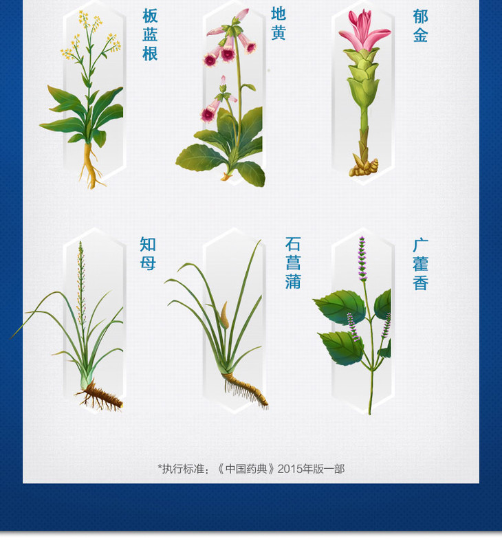 抗病毒口服液(999)10ml*12支