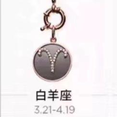 清仓出库存！Armani阿玛尼星座♈️项链 商品图14