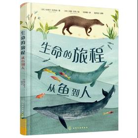 生命的旅程：从鱼到人 （7-10岁）