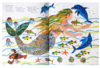 进口英文原版 Eric Carle’s Dragons Dragons 艾瑞·卡尔教你认识龙卡尔作品 平装儿童课外读物 商品缩略图2