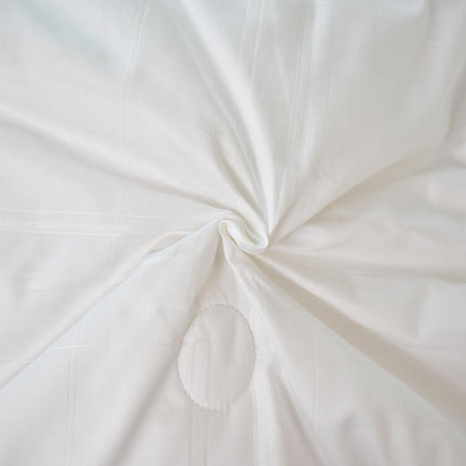 新疆60s长绒棉提花被芯柔软蓬松四季通用被子200*230被芯 商品图5