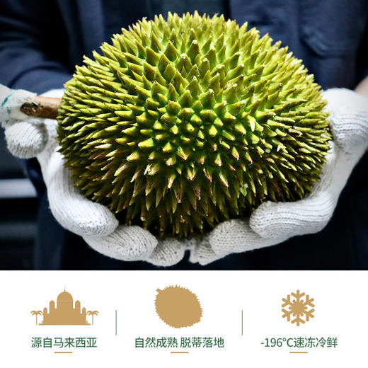 马来西亚甘榜榴莲整果1115kg