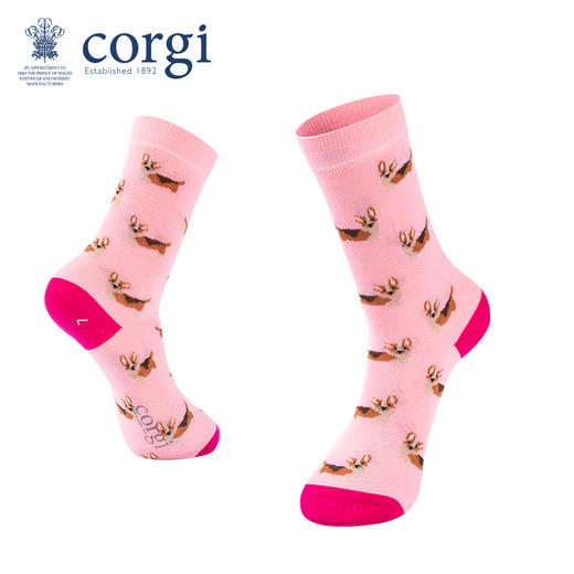 英国CORGI·儿童款轻棉萌宠系列春夏时尚长筒高筒袜子 商品图1