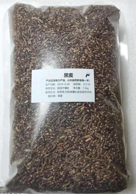 天然黑小麦 1.5kg/袋 商品图1
