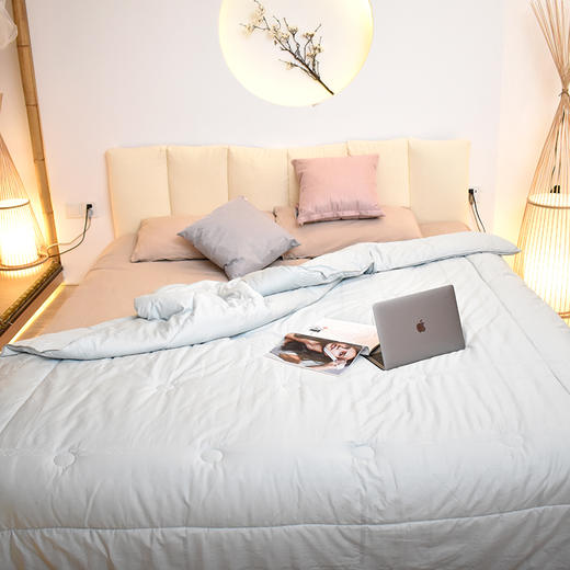 新疆60s长绒棉提花被芯柔软蓬松四季通用被子200*230被芯 商品图2