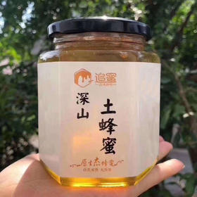 深山土蜂蜜500g 来自大山深处的馈赠 好吃又营养