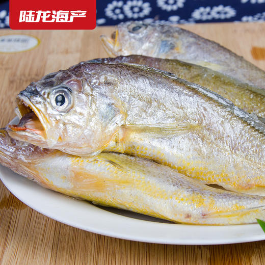 1901陆龙东海冷冻小黄鱼500g/8-10条 商品图1