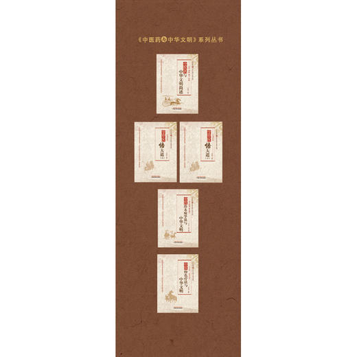 学中医悟大道（下）《中医药与中华文明》系列丛书【苟天林】 商品图3