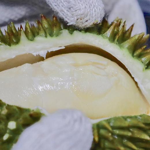 马来西亚甘榜榴莲整果1115kg