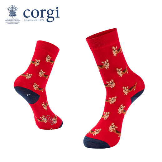 英国CORGI·儿童款轻棉萌宠系列春夏时尚长筒高筒袜子 商品图5