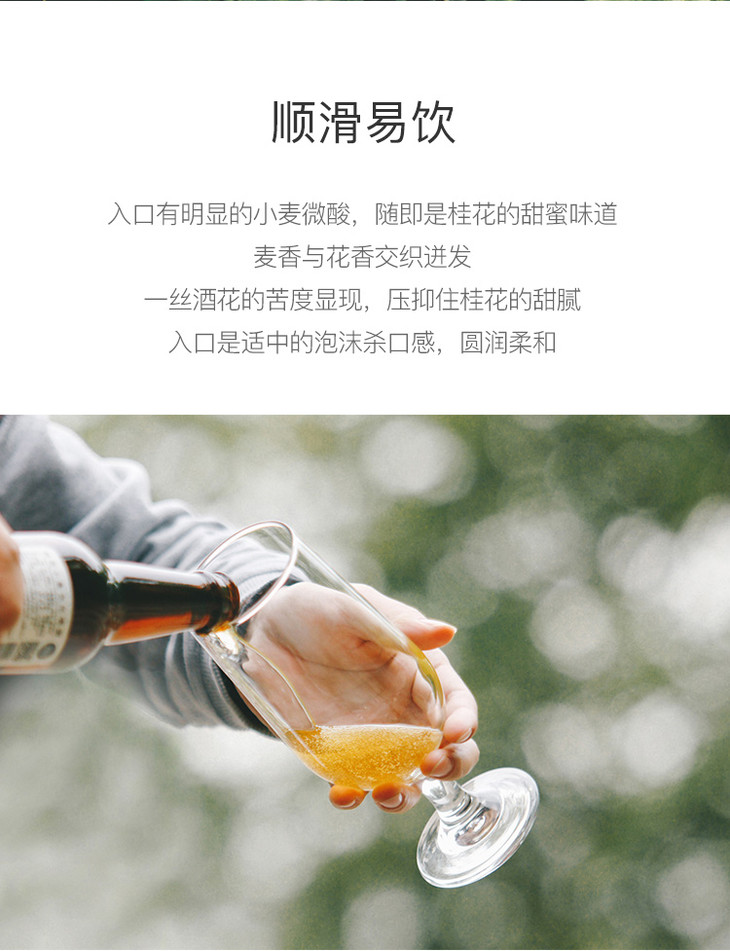 taste room啤酒桂花小麦艾尔啤酒330ml精酿啤酒5.4%vol