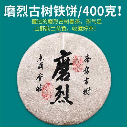 191     懂过●磨烈古树●2020年春●磨烈茶，雪山隐者！形、色、香、味、气、皆协调！韵味十足！ 商品图0