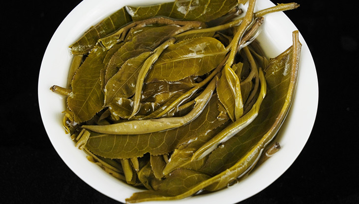【内部福利】昔归单株普洱茶生茶云南临沧700年古树纯料200g