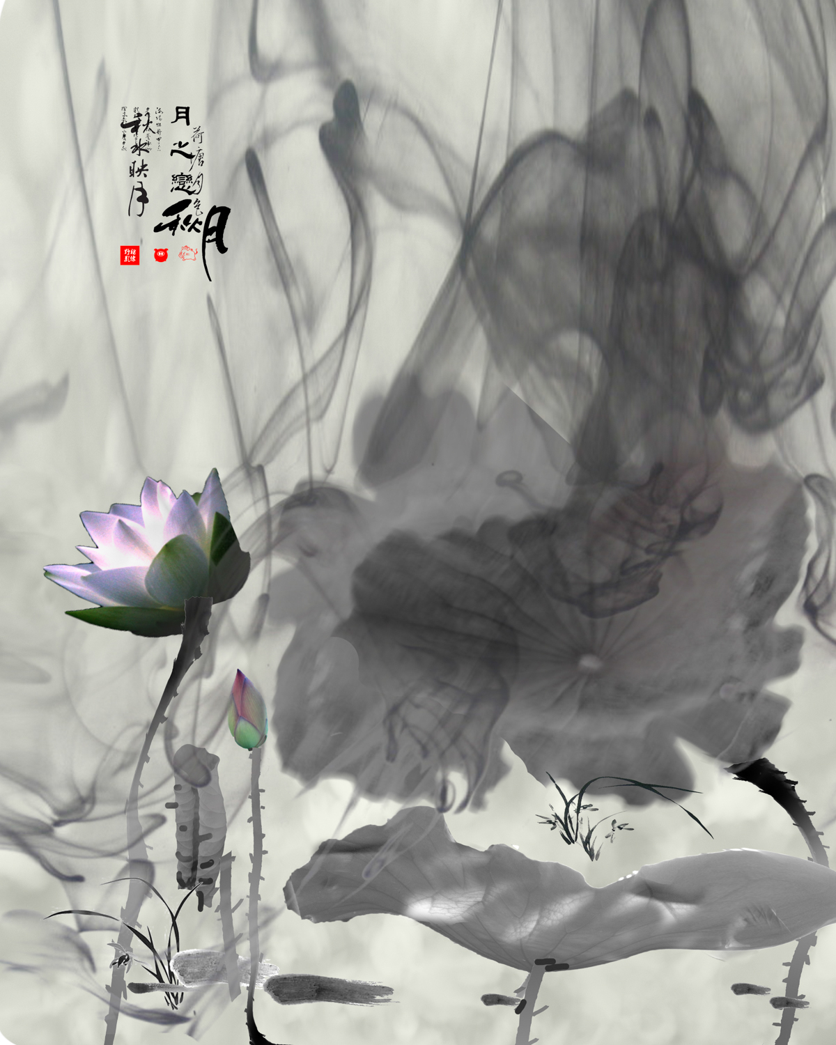 培训水墨画意后期精品56月