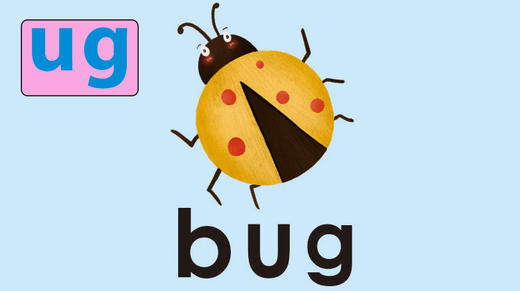 bug 商品图0