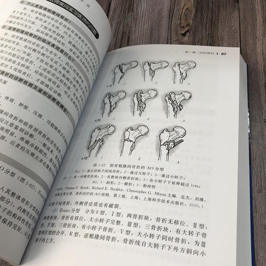 骨科医师查房手册 商品图5