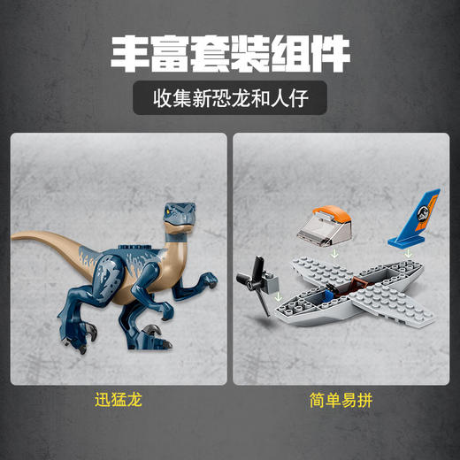 乐高LEGO 迅猛龙双翼飞机大营救75942 商品图2