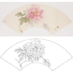 张莉莉没骨画工笔花鸟白描底稿-牡丹扇面小品-ZA37