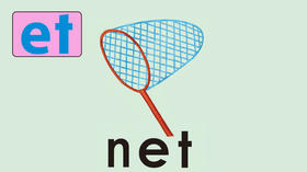 net