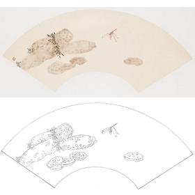 张莉莉没骨画工笔花鸟白描底稿-扇面小品 ZA40